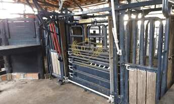 Imagem 6: FAZENDA A VENDA NO DISTRITO DE NOSSA SENHORA DO LIVRAMENTO 30 KM DE CUIABA