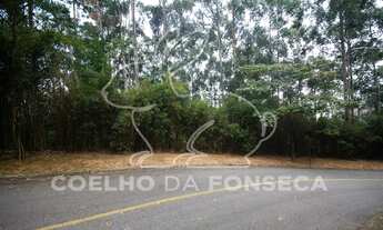 Imagem 3: Barueri - Loteamento/Condomínio - TAMBORÉ I