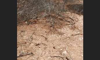 Imagem 5: Lote 40 mil Terreno / lote com venda por R$40.000