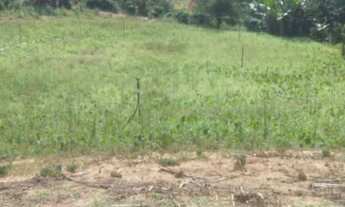 Imagem: Sitio são bento uraina 5 alqueires