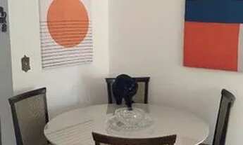 Imagem 3: Apartamento no Edificio Cancun à locação, 02 suites, 97m² - Jardim Paulista