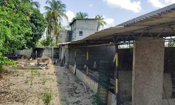 Imagem 6: Vendo sítio em Itaporanga