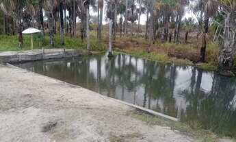 Imagem 4: Vende-se ou troca por carro com volta.pra mim