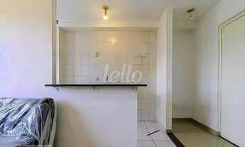 Imagem 4: São Paulo - Apartamento Padrão - Cambuci