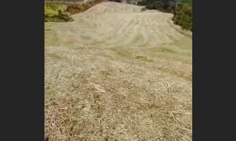 Imagem 2: Propriedade a venda