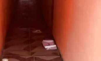 Imagem 6: Aluga-se kit net no bequimão