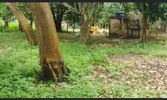 Imagem 2: Casa em Belterra