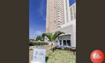 Imagem 6: Santo André - Apartamento Padrão - Vila Homero Thon