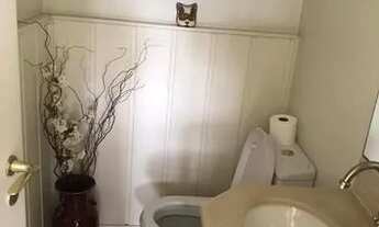 Imagem 7: São Paulo - Apartamento Padrão - Moema