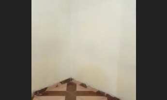 Imagem 3: Aluguel de kitnet $600