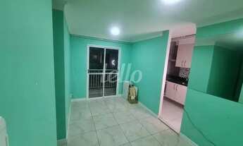 Imagem 4: São Paulo - Apartamento Padrão - Tatuapé