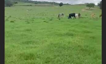 Imagem 6: Agricultura ou Pecuária Fazendinha Entre Janaúba e Montes claros.