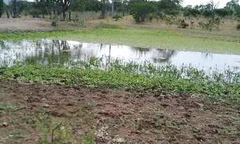 Imagem 7: Excelente oportunidade de comprar uma fazenda às margens do rio Jacuipe com 136t