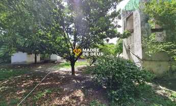 Imagem 7: Terreno localizado no bairro Rodolfo Teófilo