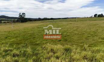 Imagem 3: Chácara 1.19 alqueires 5,8 hectares (58.000 m²) Morrinhos-GO