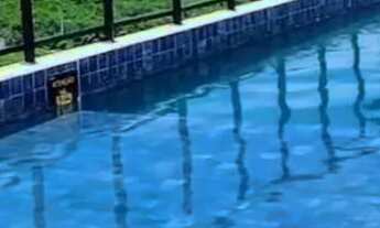 Imagem: Vendo belíssimo flat excelente localização