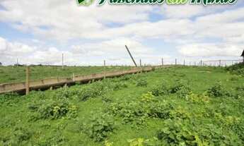 Imagem 5: Fazenda para pecuária de corte e leite, perto de Montes Claros