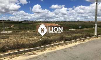 Imagem 2: 2 Lotes à Venda Juntos ou Separados!