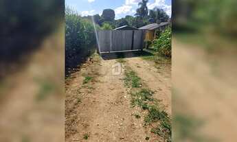 Imagem 2: Chácara à venda em Contenda | 10.000 m²