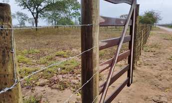 Imagem 4: 06 tarefas no haras em frente a pista de cavalo