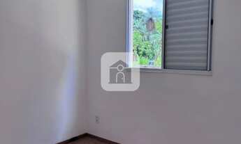 Imagem 4: Apartamento para venda no bairro Pacaembu