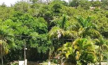 Imagem 5: Chácara em condomínio: 4 quartos, 1 suíte, 2 salas, 3 banheiros, 220,09 m² em Itu-SP, Chác