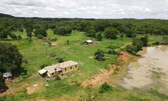 Imagem 2: ? FAZENDA ? Fazenda / sítio com venda por R$120.000