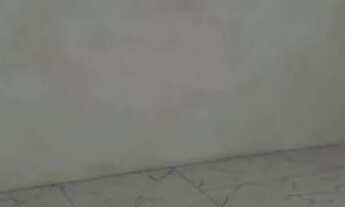 Imagem 4: Alugo kit net praia comprida