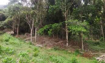 Imagem 6: Terreno Comercial em Ratones