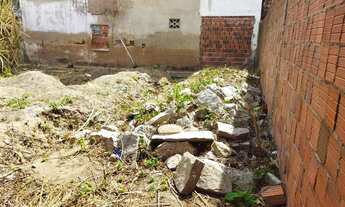 Imagem 4: Terreno granja Portugal