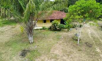 Imagem 11: IMPERDÍVEL, Sitio com Igarapé, com 10 hectares, - próximo cachoeira castanh