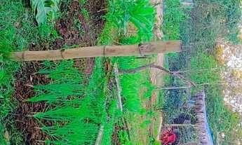 Imagem 3: Chácara a venda