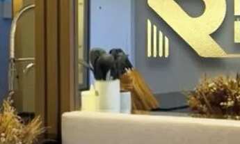 Imagem 6: Viva Vida Brisas de Igarassu