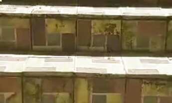 Imagem: Casa para carnaval