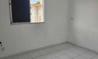 Imagem 3: Apartamento pra alugar no Vitória - Forquilha