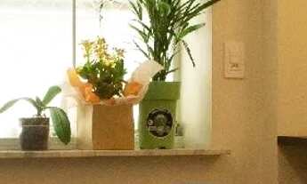 Imagem: Apartamento mobiliado em Copacabana