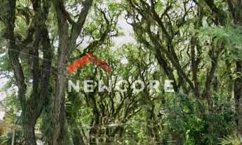 Imagem 6: Casa em Rua Tenente-Coronel Fabrício Pilar - Mont Serrat - Porto Alegre/RS