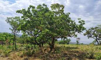 Imagem 5: OPORTUNIDADE: paraíso próximo de Brasilia