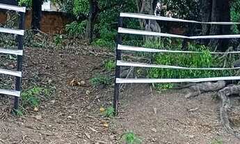 Imagem 2: LOTES AURENY III ( 2 juntos