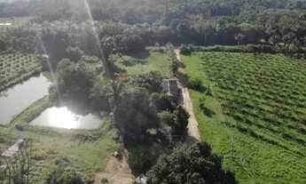 Imagem: Fazenda 2.500 X 2.600 na AM 010 km 164 9.000.000