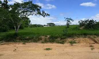 Imagem 5: Terreno no Recanto Ipê Pronto para Construir