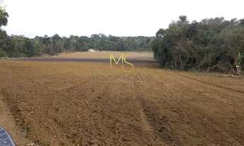 Imagem 3: Sítio para venda, 2 quarto(s), Piai, Ibiúna