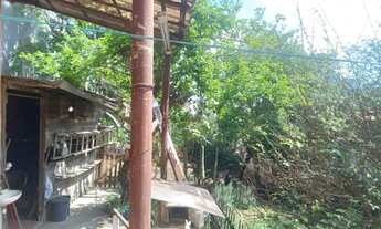 Imagem 5: Terreno Nova Petrópolis para venda 500m2 Local Privilegiado 10 x 50