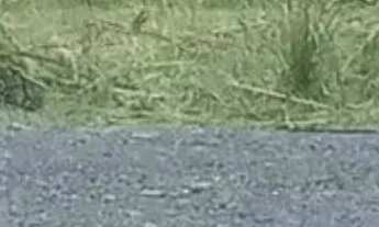 Imagem 6: URGENTE - Vende-se Terreno no Condomínio Vale das Acácias - Mendanha