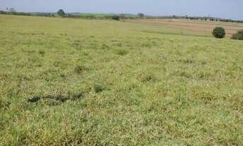 Imagem: Sarapuí 6.3 Alqueires (Lindo