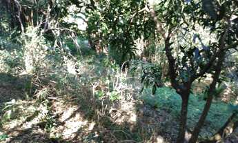 Imagem 3: Chacara para alugar em Extrema MG