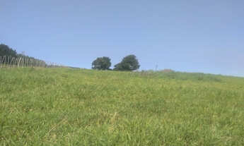 Imagem: Sítio Espetacular com Vista de Imperador