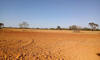 Imagem 4: Fazenda 52 Hectares em Martinho Campos
