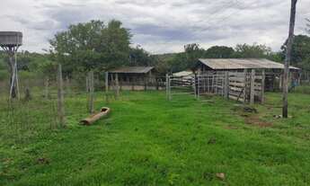 Imagem 7: Oportunidade Fazenda Chacara na Melhor Regiao de Unai MG