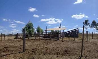 Imagem 2: Sitio de 4 hectares Toda Formada, Muita Água, Localizado no Santo Antônio do Descoberto